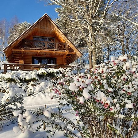 Ezerkalni Villa Raiskums Dış mekan fotoğraf