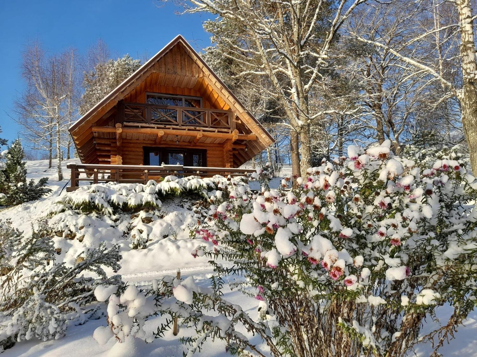 Ezerkalni Villa Raiskums Dış mekan fotoğraf